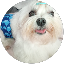 Foto de perfil de Inma Flores